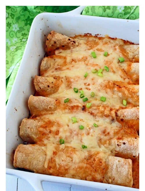 BUFFALO CHICKEN ENCHILADAS